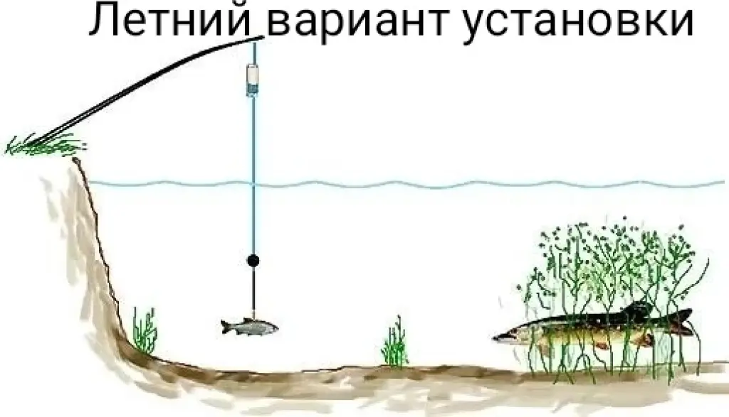 Снасть для ловли хищника