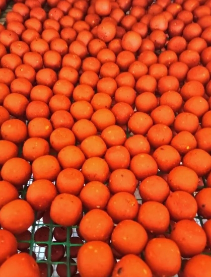 Бойлы на карпа