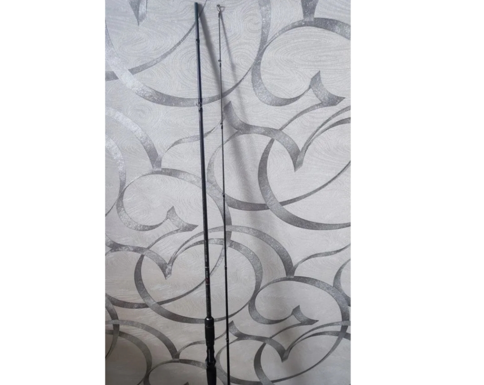 Кастинговое удилище Zetrix Exilon 9-35g