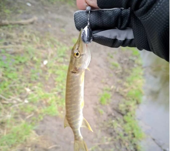 Набор микро блесен вертушек