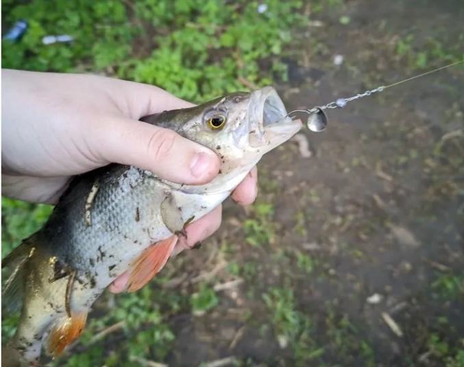 Набор микро блесен вертушек