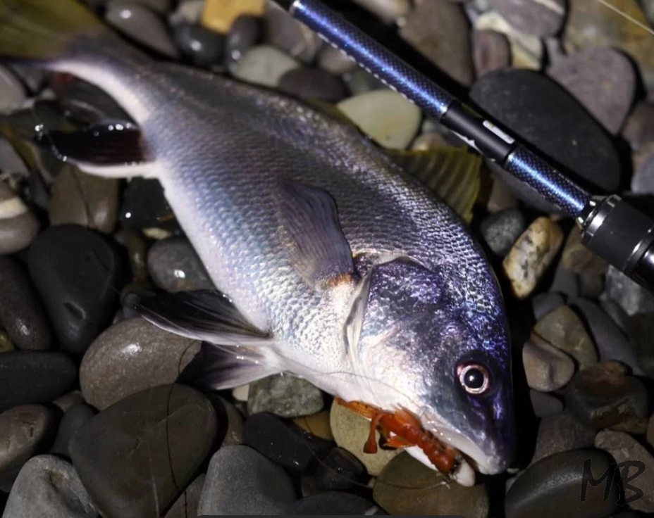 Стрейчевая силиконовая приманка Crawfish