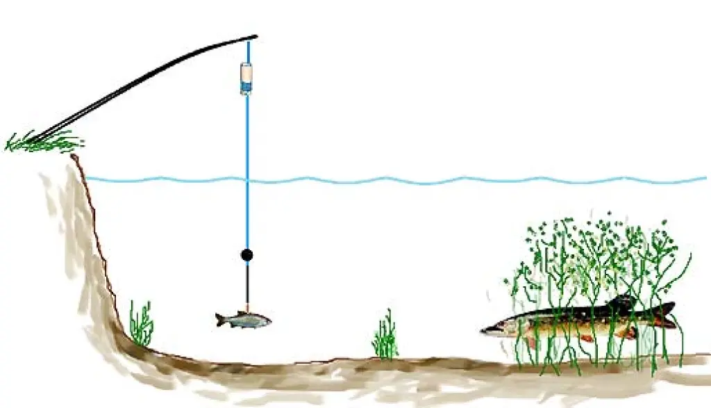 Снасть для ловли хищника